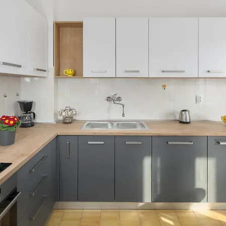 Stepancici Vi Apartament *